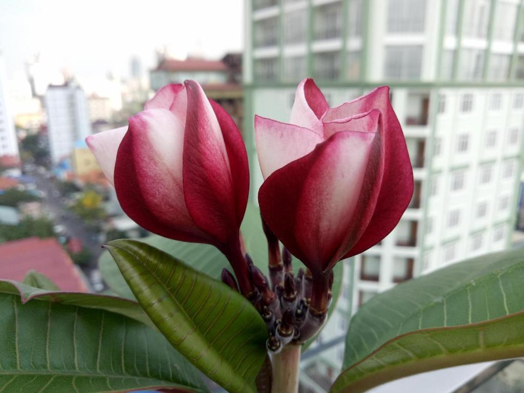 V Boutique Hotel Phnom-Penh Buitenkant foto